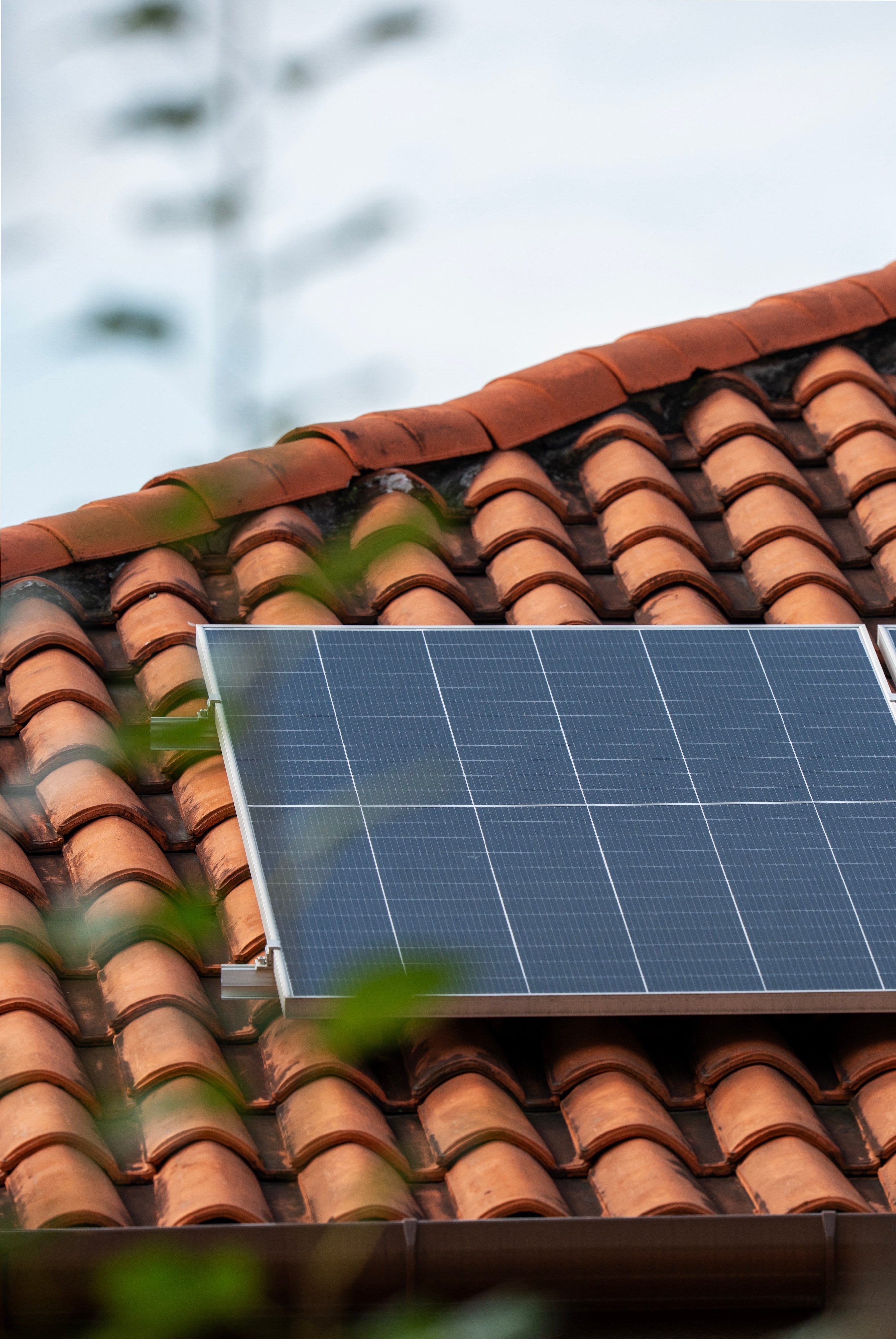 shutterstock_2590621215-1